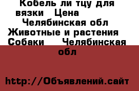 Кобель ли тцу для вязки › Цена ­ 15 000 - Челябинская обл. Животные и растения » Собаки   . Челябинская обл.